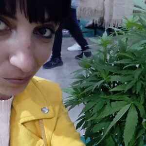 Italia: manca la cannabis medica a 50 mila pazienti. In Sicilia e Toscana produzione e corsi